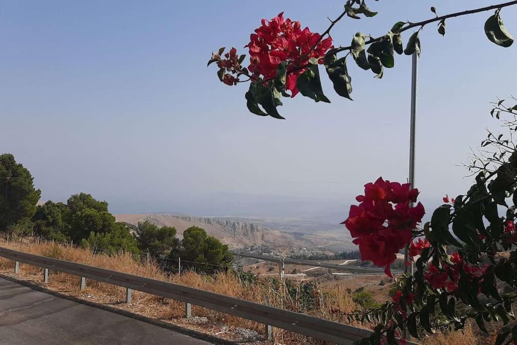 Self-contained Garden With Galilee Sea & Mountains View 2 Apartment Safed