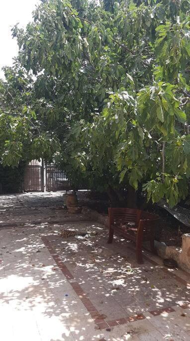 Apartment Self-contained Garden With Galilee Sea & Mountains View 2 *